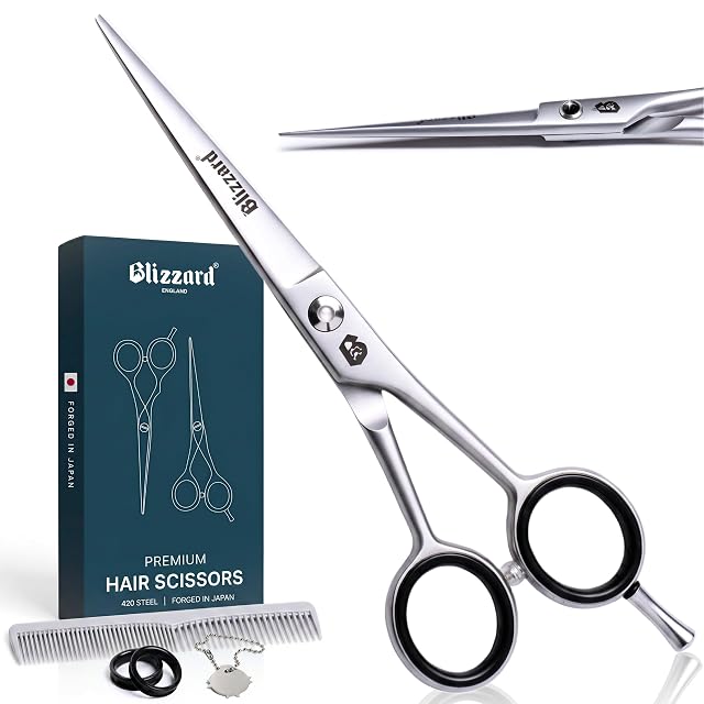 Blizzard professional hair scissors set in Japanese 420 steel with comb and case